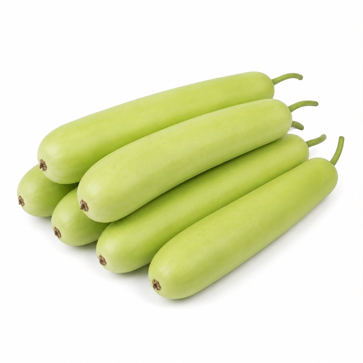 Bottle Gourd Long (Ghia)
